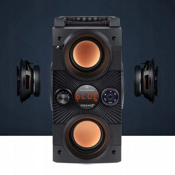 feegar-dance-przenosny-glosnik-bluetooth-radio-usb-sd-aux-rec-4000mah-4